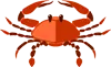 Cancer Zodiac Sign